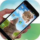 Running Mouse Live Wallpaper APK