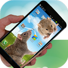 Running Mouse Live Wallpaper icon