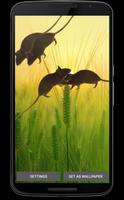 Running Mouse Live Wallpaper screenshot 3