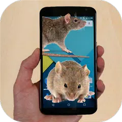 Mouse run in phone Prank