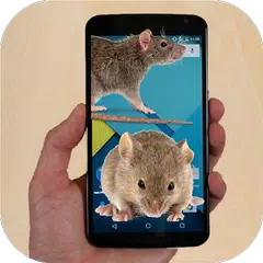 Mouse run in phone Prank APK download