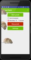 Mouse run in phone Prank Affiche