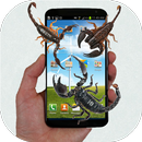 Scorpion run in phone prank APK