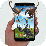 Scorpion run in phone prank Zeichen