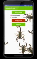 Scorpion run in phone prank Affiche