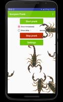 Scorpion run in phone prank Poster