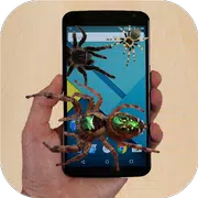 Spider run on Screen prank