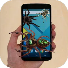 Spider run on Screen prank