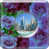 Lovely Roses Frames icon