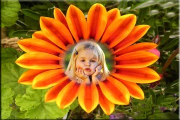 Flower Photo Frame APK download