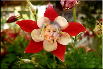 Flower Photo Frame APK download