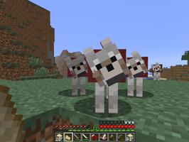 Pets Ideas in Minecraft Affiche