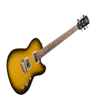 Guitar Tunner icon