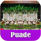 Puade icon