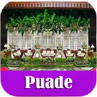 آیکون‌ Puade