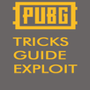 Guide for PUBG APK