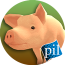 PI VR Food Science APK