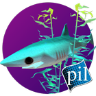 PI VR Oceans icône