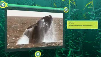 PI VR Oceans Ekran Görüntüsü 1