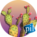 PI VR Wildlife Wonders APK