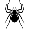Xperia Theme - Spider FREE