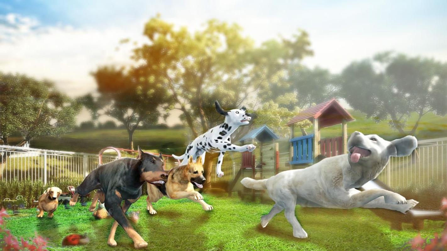 Wild Cheetah Family Simulator Cheetah Animal Games Android Gameplay #6 Dishoomgp