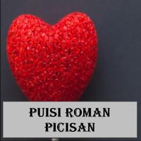 Puisi Roman Picisan poster