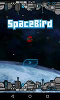 Space Bird-poster