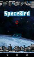 Space Bird Affiche