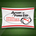 Puma Cup أيقونة