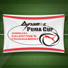 Icona Puma Cup