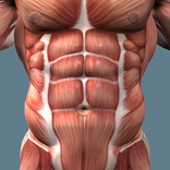 Тренировка живота