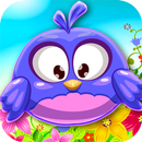Birds Wonderland Adventure APK