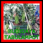 BUDIDAYA TABULAMPOT icon