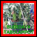 BUDIDAYA TABULAMPOT ( Tanaman Buah Dalam Pot ) APK