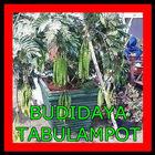 BUDIDAYA TABULAMPOT 圖標