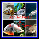APK Ikan Payau Dan Tawar