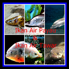Ikan Payau Dan Tawar 아이콘