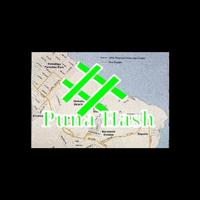 1 Schermata Puna Hash ( PunaHash.com )