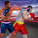 punch boxing champions 2018 APK