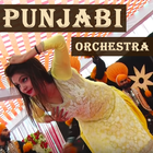 Punjabi Orchestra Videos 2018 иконка