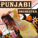 Punjabi Orchestra Videos 2018 APK