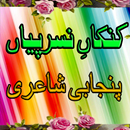 Punjabi Poetry Advance APK