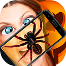 Spider Real 3D Camera Prank APK