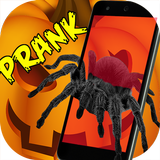 Araignée 3D AR Prank Halloween icône