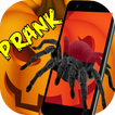 Spider 3D AR Prank Halloween