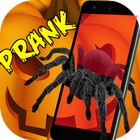 Spinne 3D AR Streich Halloween Zeichen