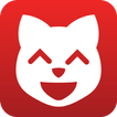 Kitties. Funny cat gifs and ph
