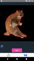 Kitties. Funny cat gifs and ph الملصق