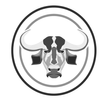 Bivol APK